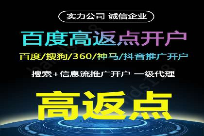 精准营销：百度推广平台的成功案例解析